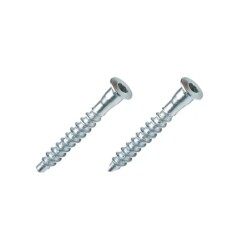 Ayder Cabin Screw Allen Pointed 6.5X50 Zinc - 1