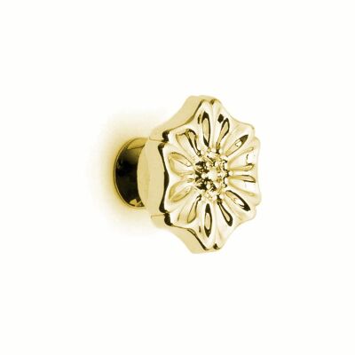 Hand Style Button Handle 110 Model Gold - 1