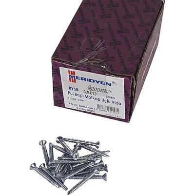 Meridyen Y.H.B. Self-Drilling Screw 3.9X13 (1000 Pieces) - 1