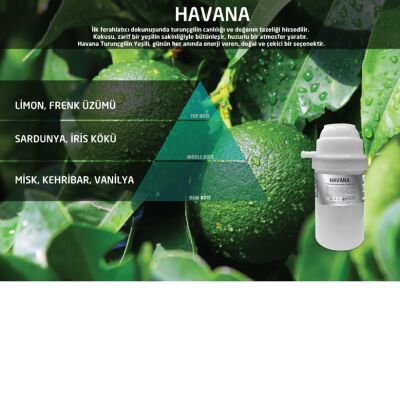 Rulopak Nanoplus M7 Havana Koku Kartuşu 200 ml - 1