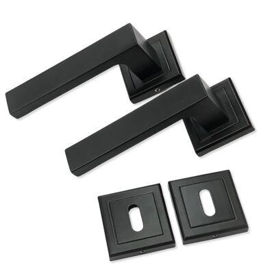 Tiviti Door Handle Kale Room Square Badge Black - 1